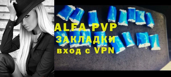 стаф Верея