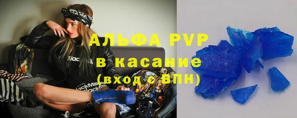 стаф Верея