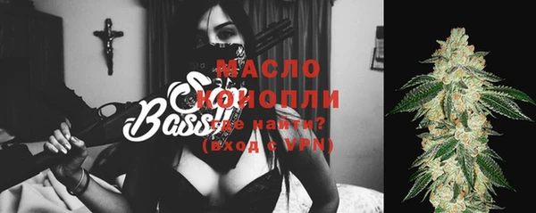 стаф Верея