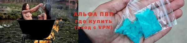 стаф Верея