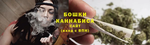 стаф Верея