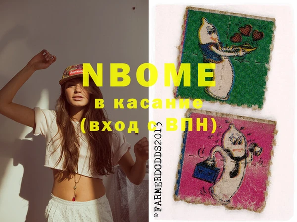 стаф Верея