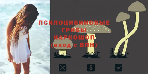 стаф Верея