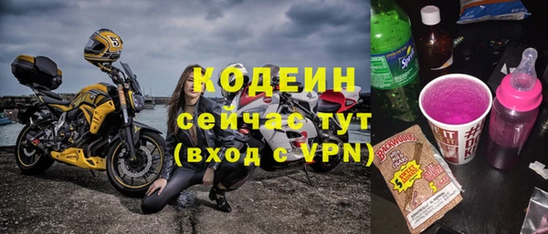 стаф Верея