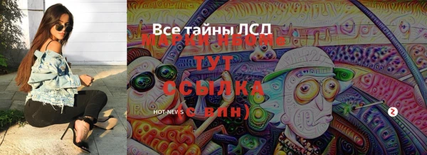 стаф Верея