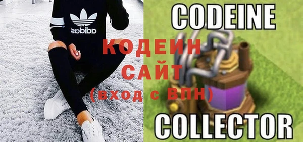 стаф Верея