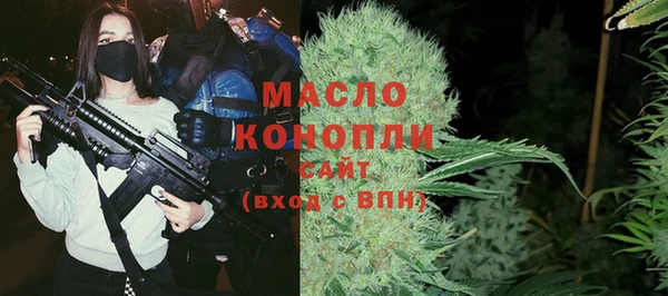 стаф Верея