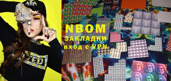 стаф Верея