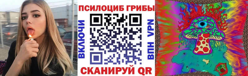 Псилоцибиновые грибы GOLDEN TEACHER  OMG ссылки  Курск 